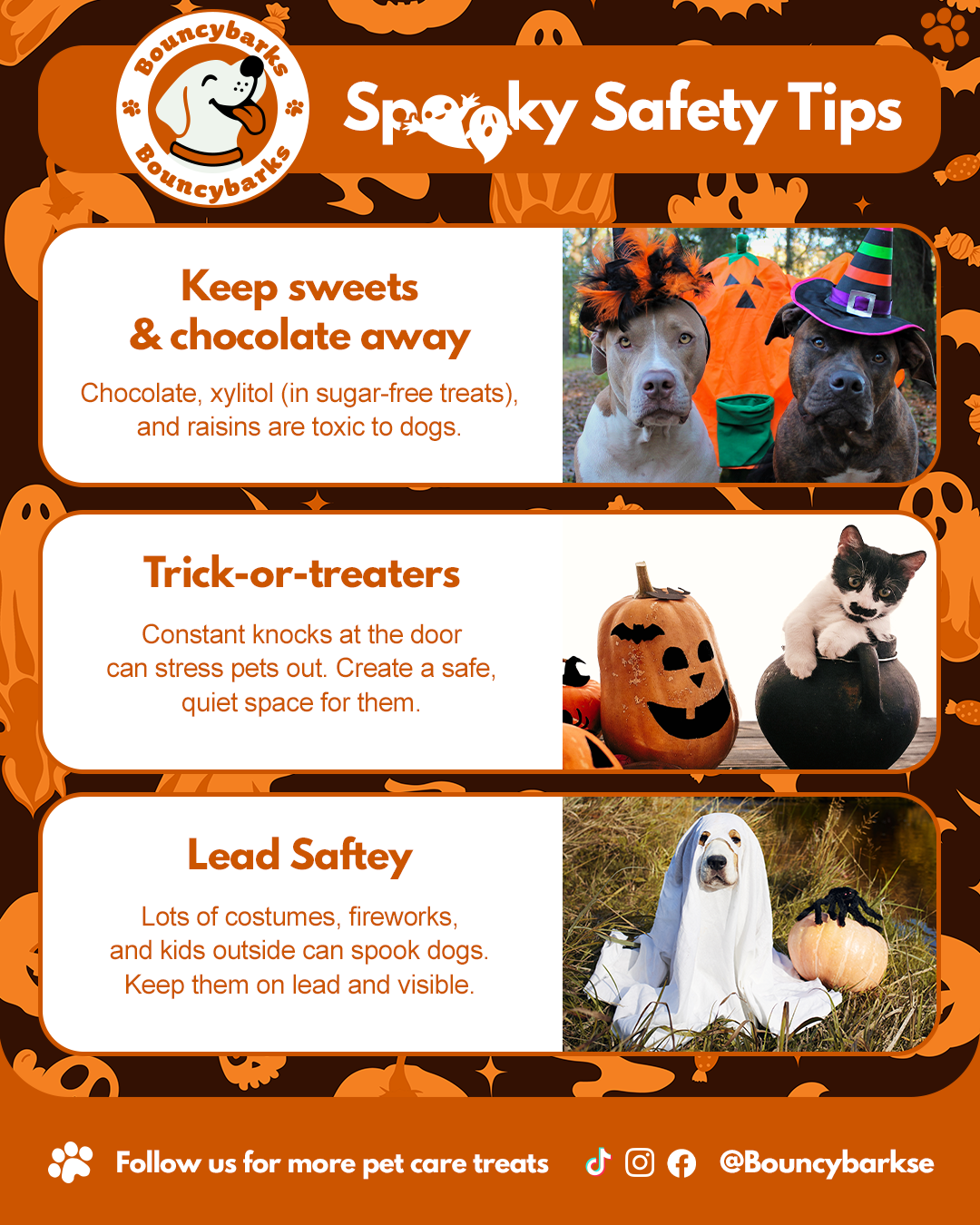 Bouncybarks Halloween pet safety tips social media graphic